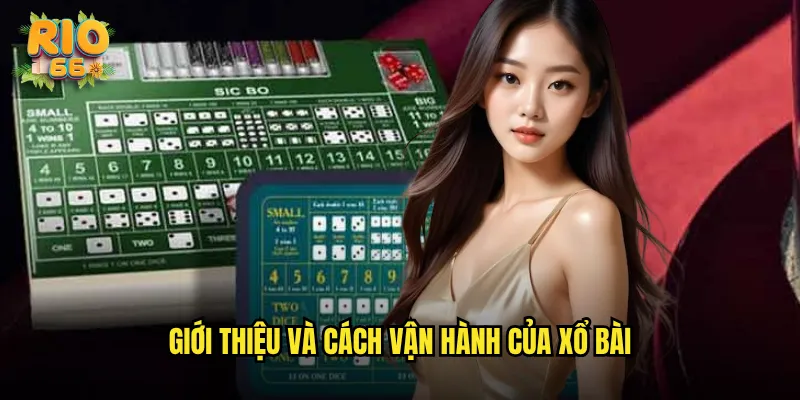 Giới thiệu và cách vận hành của Xổ bài